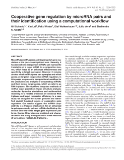 Cooperative gene regulation by microRNA pairs and their