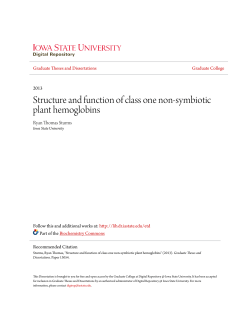 Structure and function of class one non