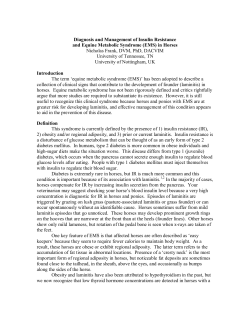 Diagnosis and Management of Insulin Resistance and
