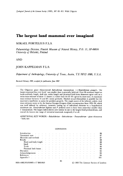 The largest land mammal ever imagined