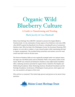 Organic Wild Blueberry Culture