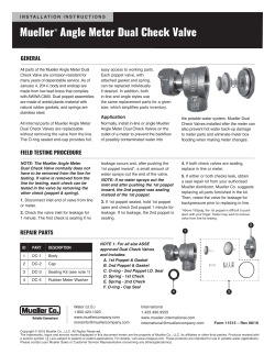 Mueller&reg; Angle Meter Dual Check Valve