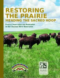 RESTORING THE PRAIRIE - National Wildlife Federation