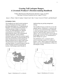 Grazing tall larkspur ranges: A livestock producer`s decision