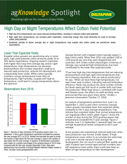High Day or Night Temperatures Affect Cotton Yield Potential