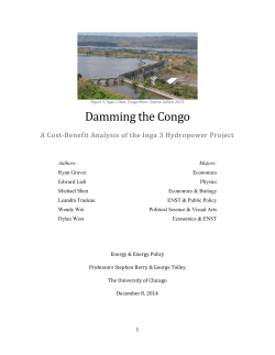Damming the Congo - The Franke Institute for the Humanities