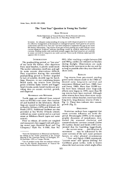 The "Lost Year" Question in Young Sea Turtles1