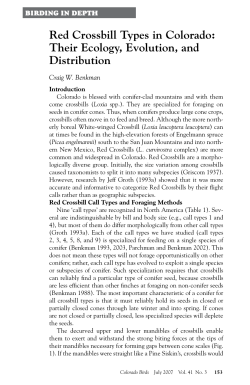 Red Crossbill Types in Colorado: Their Ecology, Evolution, and
