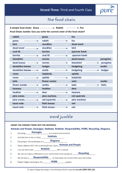 the food chain word jumble