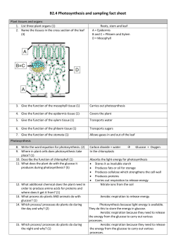 B2.4 Photosynthesis and sampling fact sheet