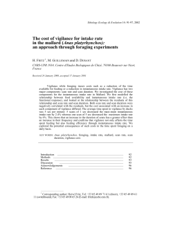 The cost of vigilance for intake rate in the mallard