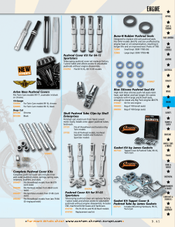 engine - Custom Chrome