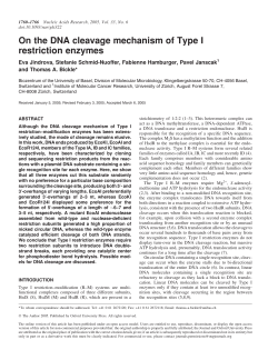 On the DNA cleavage mechanism of Type I restriction enzymes
