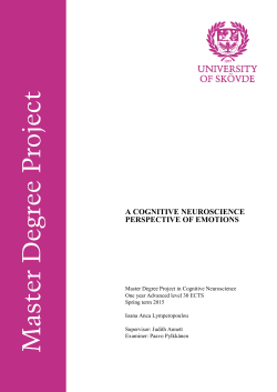 a cognitive neuroscience perspective of emotions