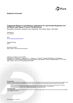Syddansk Universitet Triglyceride Blisters in Lipid Bilayers