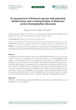 A reassessment of Anthurium species with palmately divided leaves