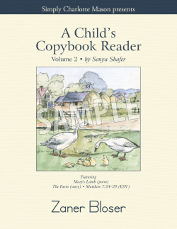 A Child`s Copybook Reader Volume 2, Zaner Bloser sample