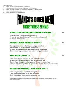 Photosynthesis Diner menu Activity