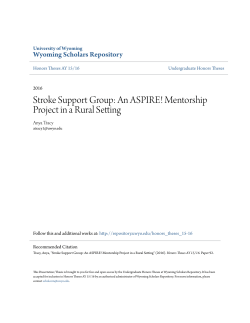 Stroke Support Group: An ASPIRE! Mentorship Project in a Rural