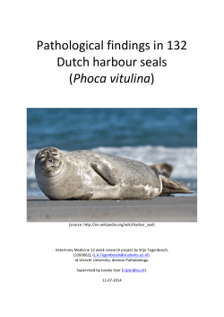 Phoca vitulina - Utrecht University Repository