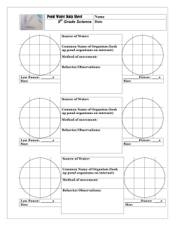 6-3 Pond Water Microscope Worksheet