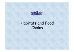 Habitats and Food Chains - Paradise Primary School
