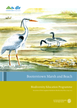 Booterstown Marsh and Beach - Dun Laoghaire Rathdown County