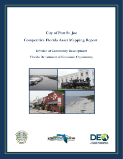 Intangible Assets - City of Port St. Joe