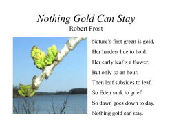 Nothing Gold Can Stay Robert Frost