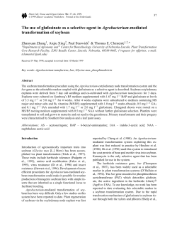 The use of glufosinate as a selective agent in Agrobacterium