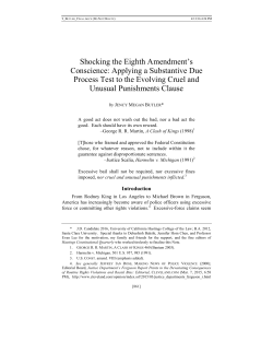 Shocking the Eighth Amendment`s Conscience: Applying a