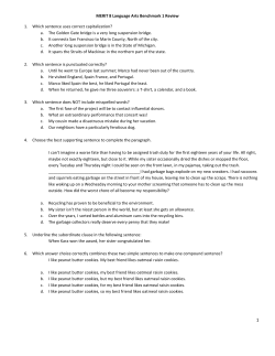 MERIT 8 Language Arts Benchmark 1 Review 1. Which sentence