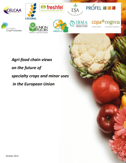 Agri-food chain views on the future of specialty crops and minor