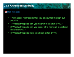 24.1 Arthropod Diversity