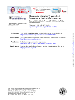 Generation in Neutrophilic Leukocytes Chemotactic Migration