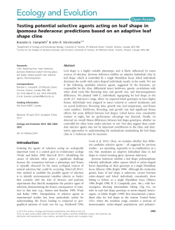 Testing potential selective agents acting on leaf shape in Ipomoea