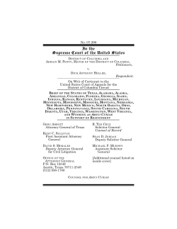 the brief on Heller - Ted Cruz for Senate
