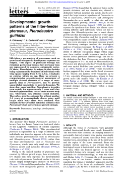 Developmental growth patterns of the filter