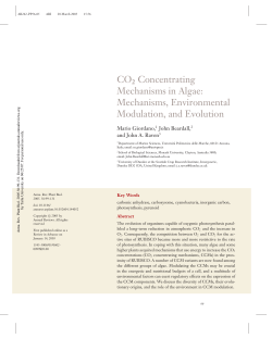 CO2 CONCENTRATING MECHANISMS IN ALGAE: Mechanisms