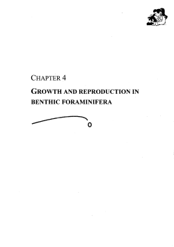 chapter 4 growth and reproduction in benthic foraminifera