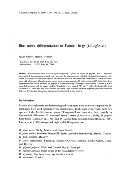 Bioacoustic differentiation in Painted frogs (Discoglossus)