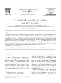 The antiquity of microbial sulfate reduction