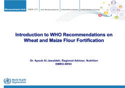 Introduction to WHO Recommendations on Wheat and Maize Flour