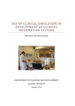 use of clinical simulation in development of clinical information