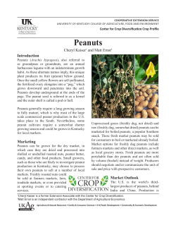 Peanuts - University of Kentucky