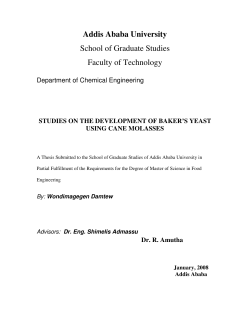 STUDIES ON THE DEVELOPMENT OF BAKER`S YEAST USING