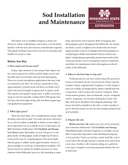 Sod Installation and Maintenance - Mississippi State University