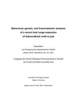 Studying diamondback moth`s