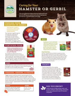 Hamster or Gerbil - Oxbow Animal Health