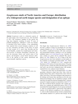 Geoglossum simile of North America and Europe: distribution of a
